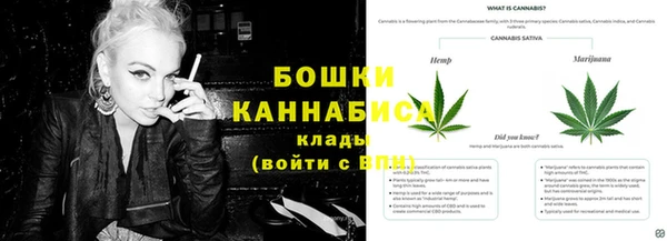 Альфа ПВП Вязьма