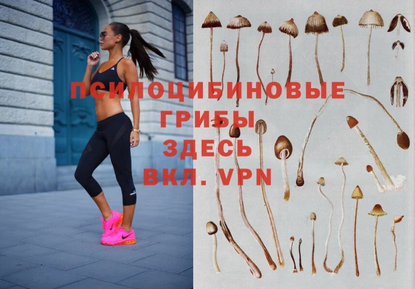 амфетамин Вяземский